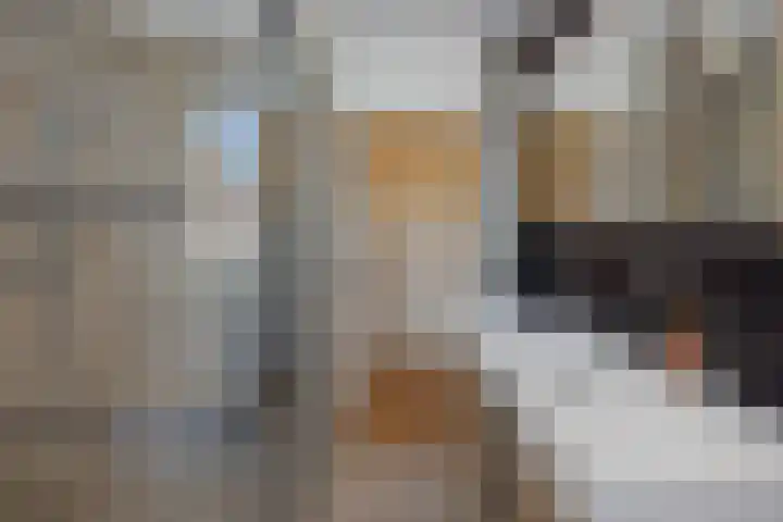 Edelhertlaan 33 Helmond thumbnail 24