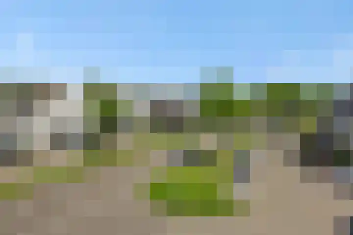 Edelhertlaan 33 Helmond thumbnail 38