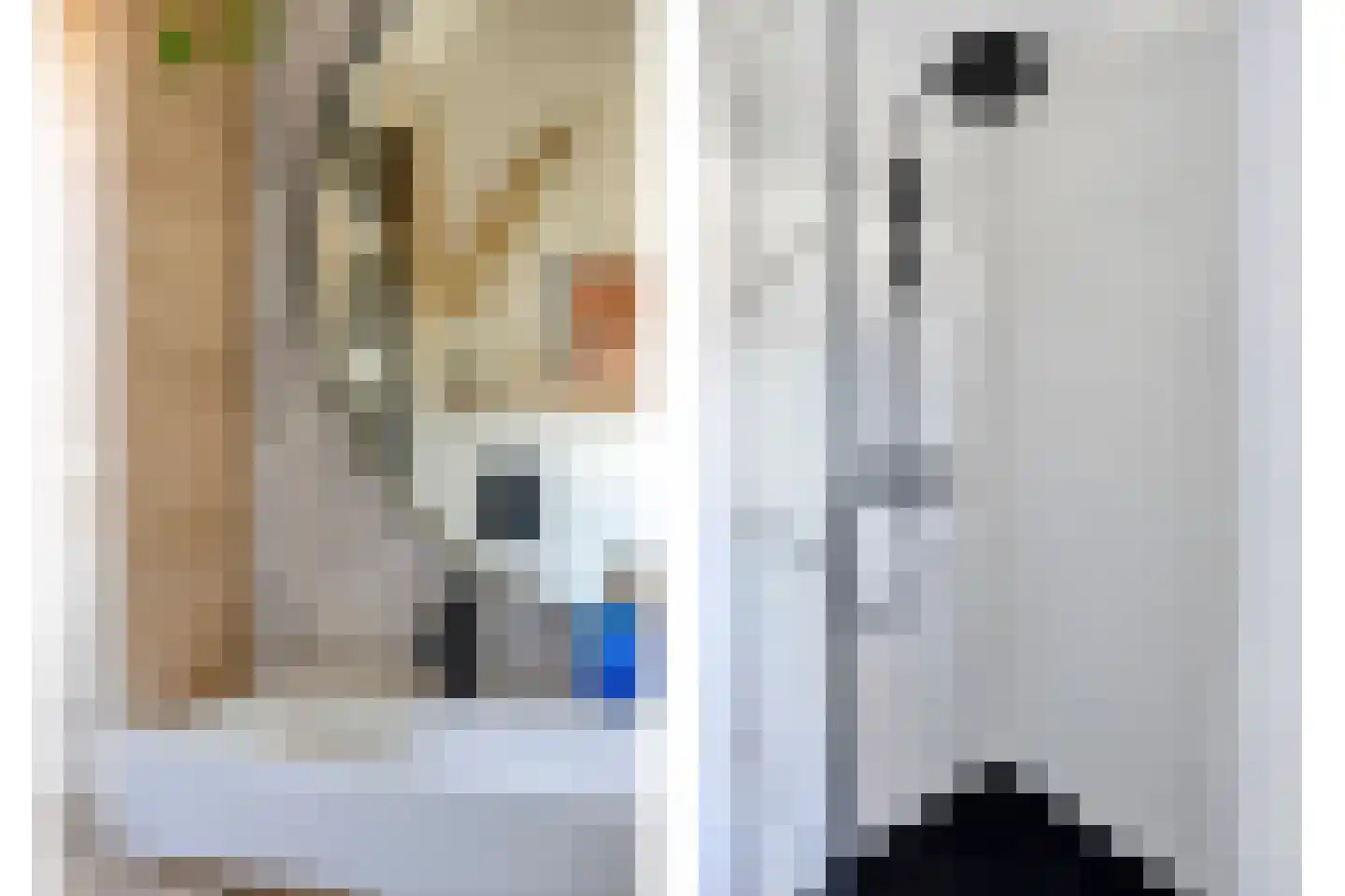 Edelhertlaan 5 Helmond thumbnail 32