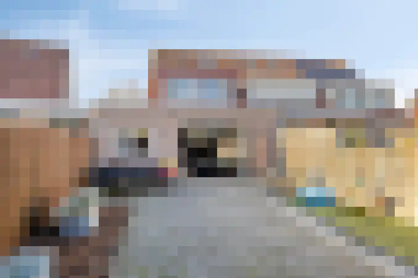 Edelhertlaan 5 Helmond thumbnail 4