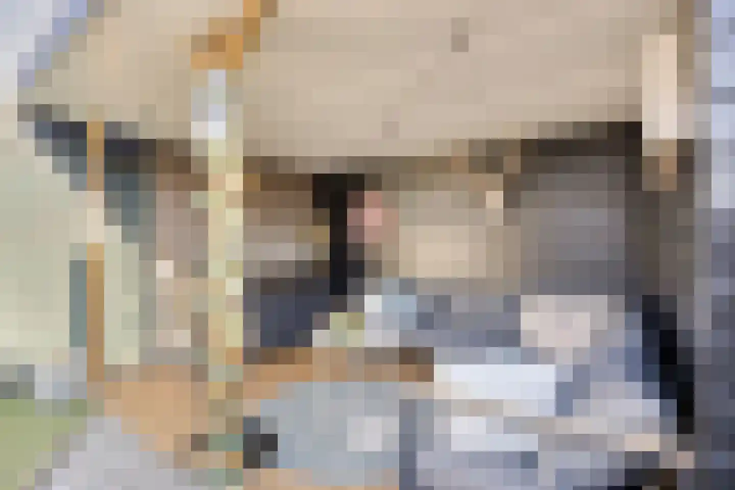 Edelhertlaan 5 Helmond thumbnail 42