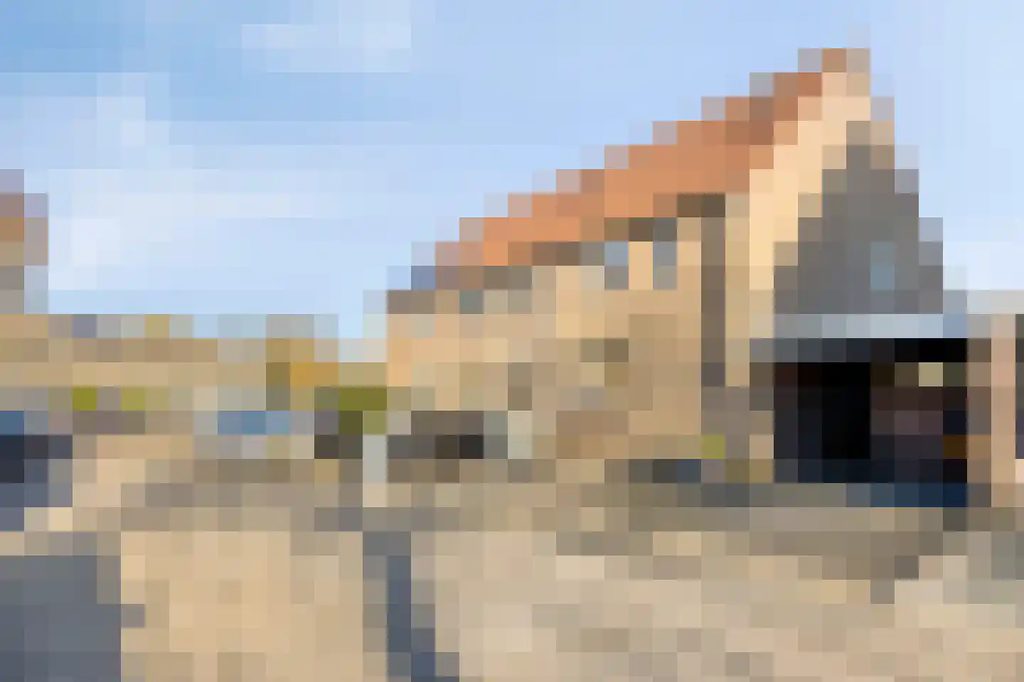 Edelhertlaan 5 Helmond thumbnail 46