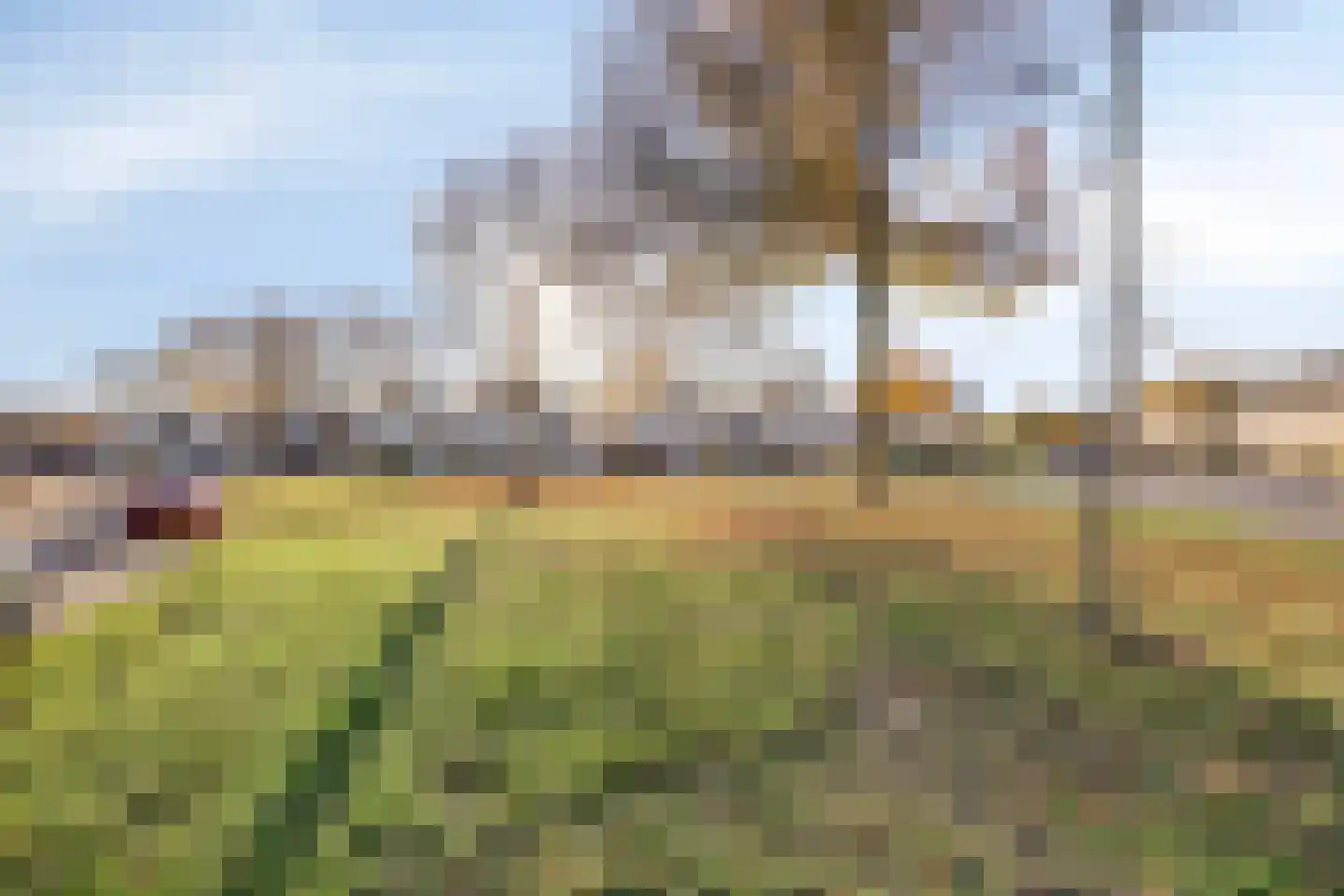 Edelhertlaan 5 Helmond thumbnail 47