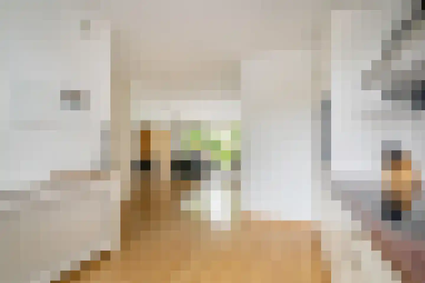 Edelhertlaan 8 Delft thumbnail 11