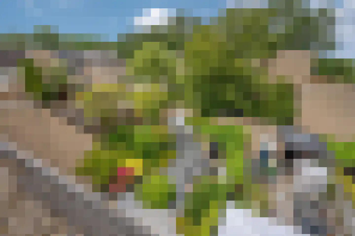 Edelhertlaan 8 Delft thumbnail 36