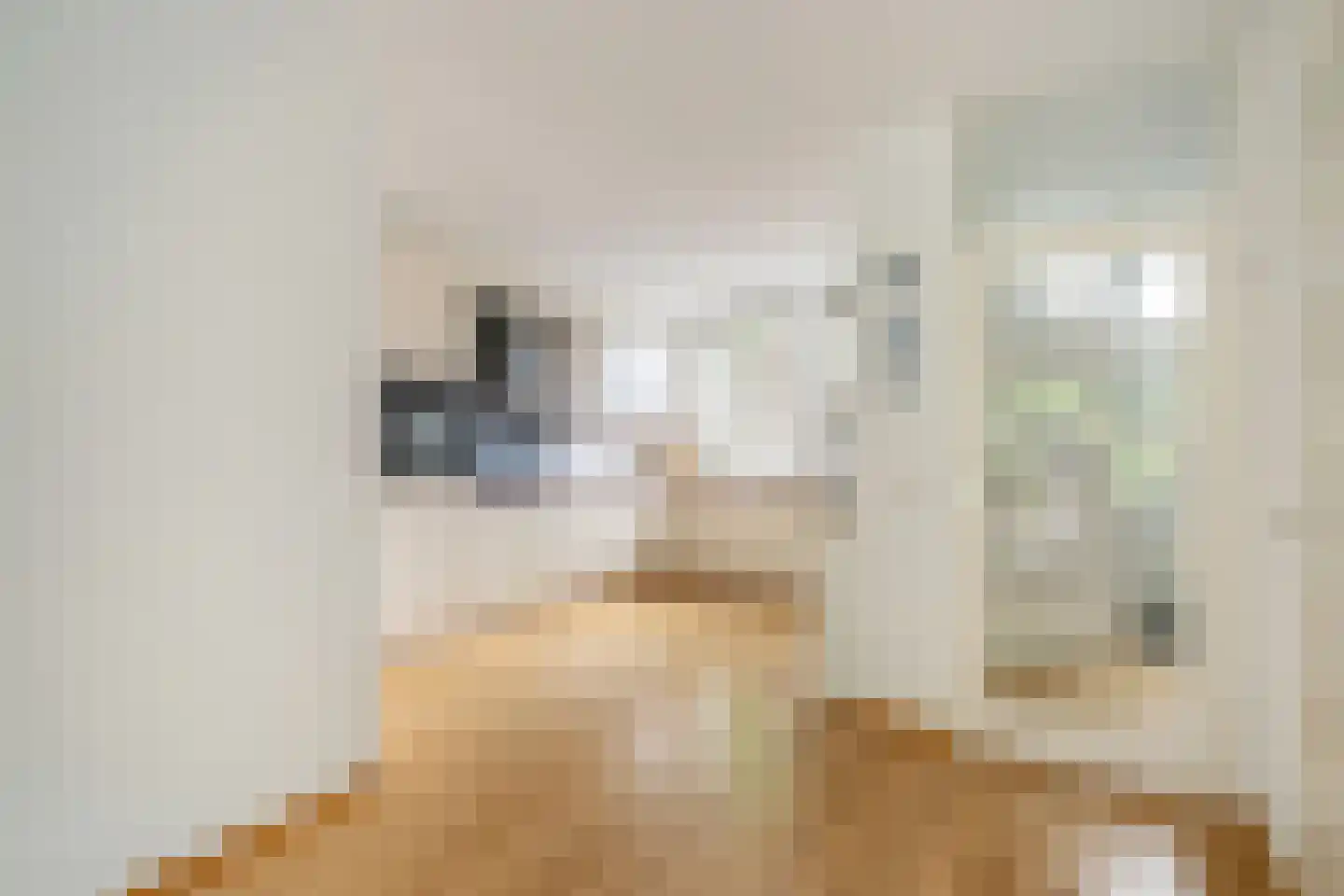 Edelhertlaan 8 Delft thumbnail 7