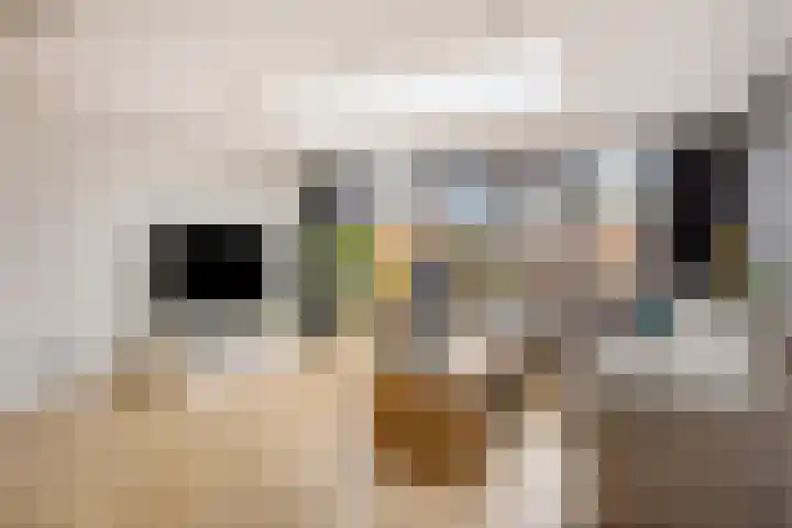 Edelhertlaan 9 Helmond thumbnail 13