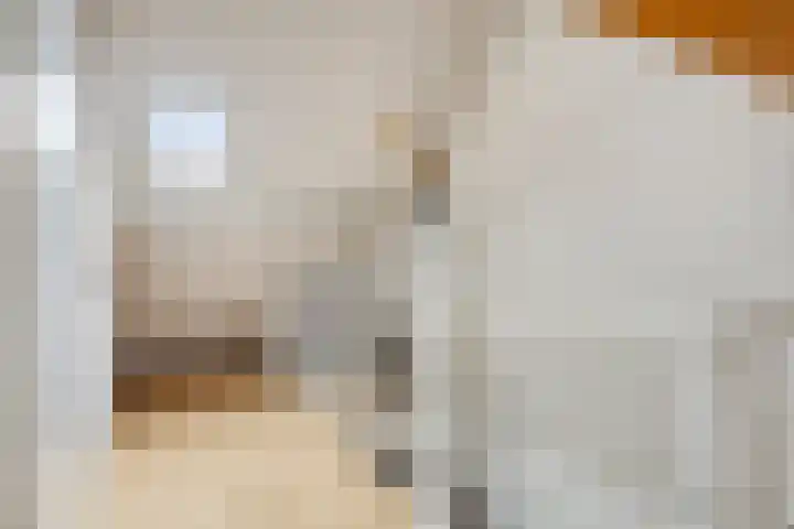 Edelhertlaan 9 Helmond thumbnail 32