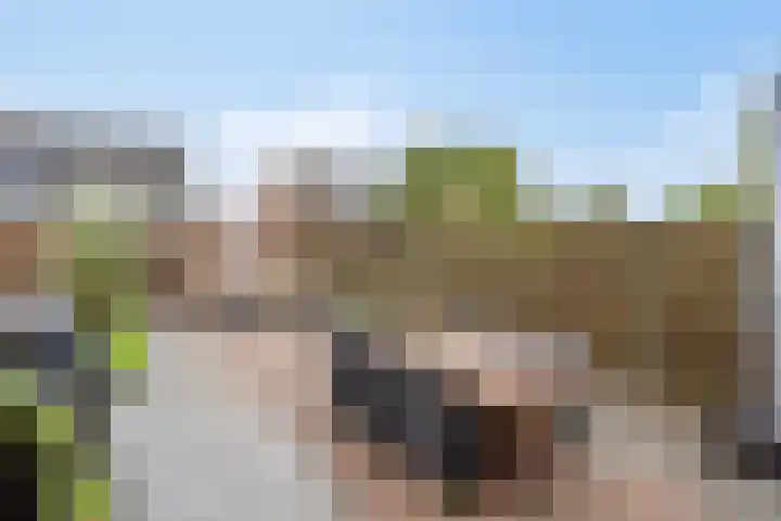 Edelhertlaan 9 Helmond thumbnail 36