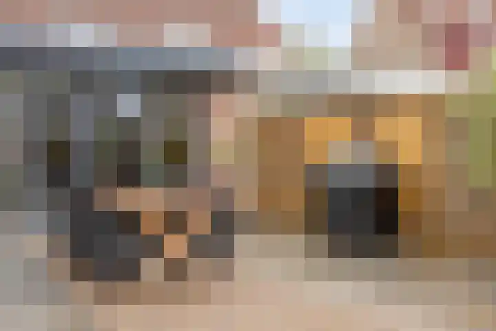 Edelhertlaan 9 Helmond thumbnail 38
