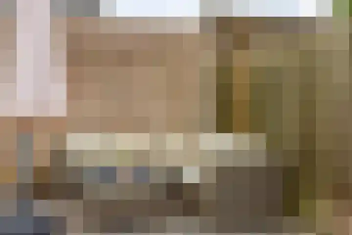 Edelhertlaan 9 Helmond thumbnail 39
