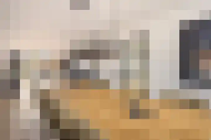 Edelhertlaan 9 Helmond thumbnail 4