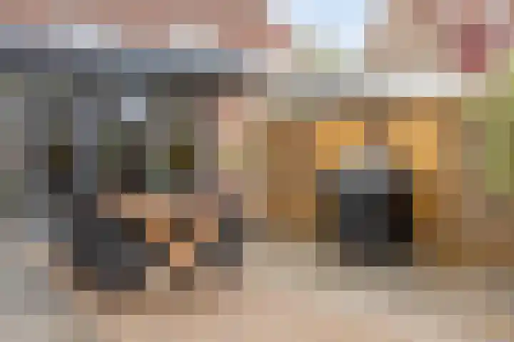 Edelhertlaan 9 Helmond thumbnail 6