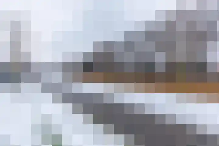 Edelhertweg 115 Almere thumbnail 11