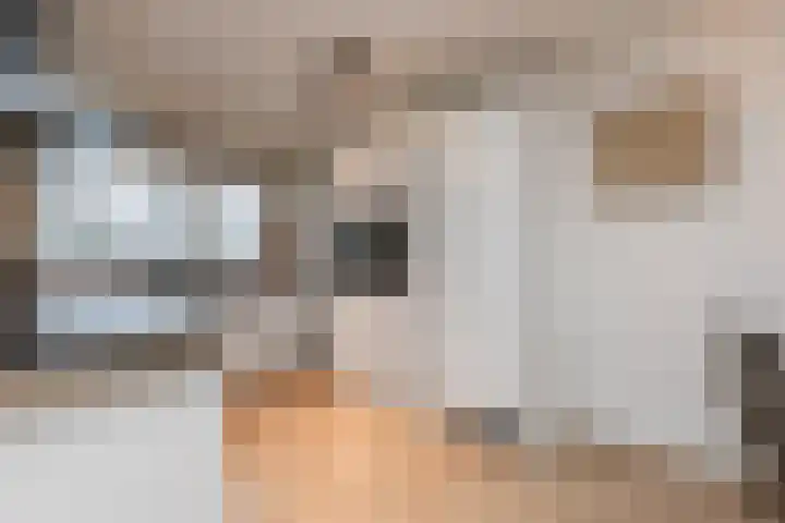 Edelhertweg 115 Almere thumbnail 22