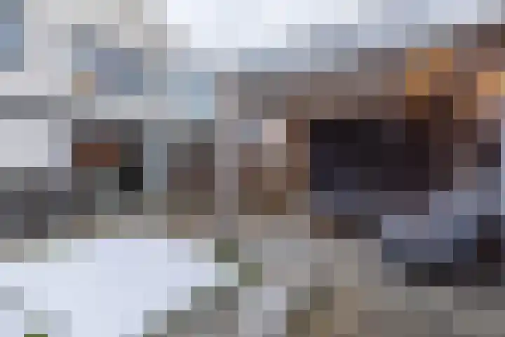 Edelhertweg 115 Almere thumbnail 30