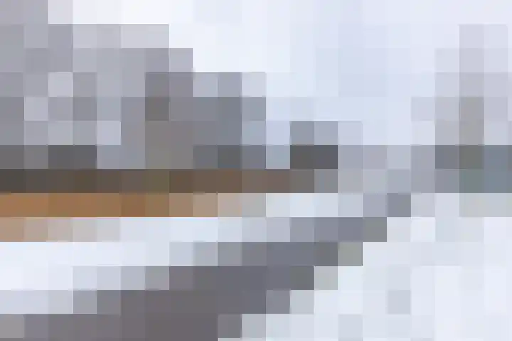 Edelhertweg 115 Almere thumbnail 58