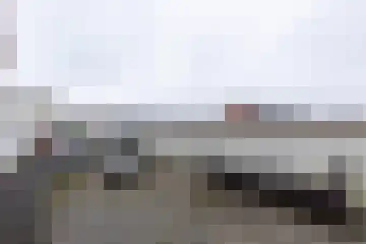 Edelhertweg 115 Almere thumbnail 8