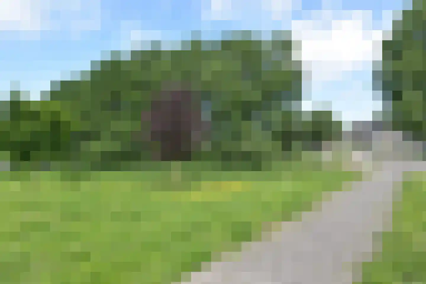 Edelhertweg 25 Almere thumbnail 46
