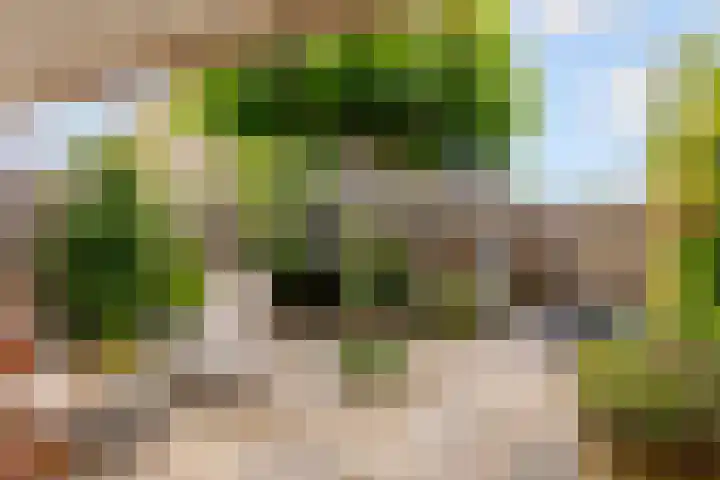 Edelhertweg 67 Almere thumbnail 19