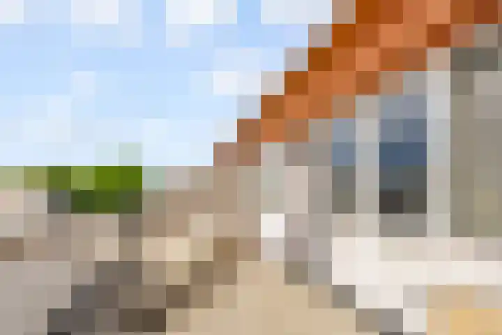 Edelhertweg 67 Almere thumbnail 42