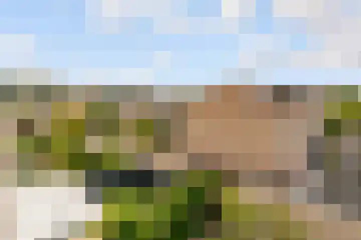 Edelhertweg 67 Almere thumbnail 43
