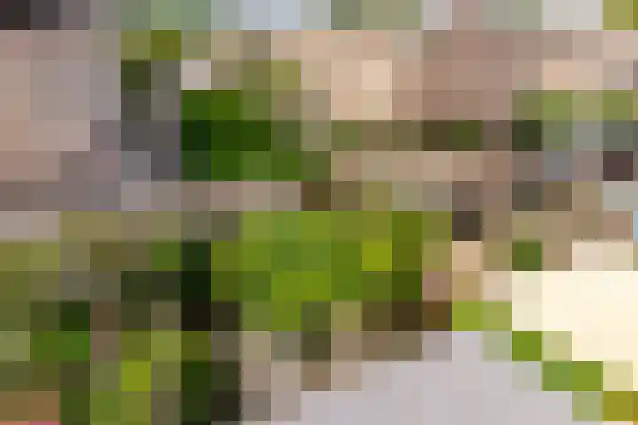 Edelhertweg 67 Almere thumbnail 5