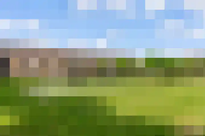 Edelhertweg 67 Almere thumbnail 50