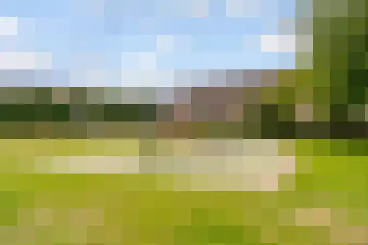 Edelhertweg 67 Almere thumbnail 51