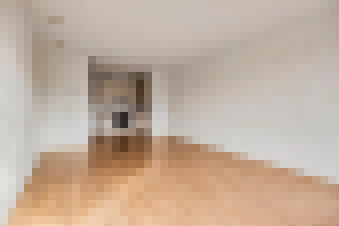 Edelinckstraat 36 Hardenberg thumbnail 16