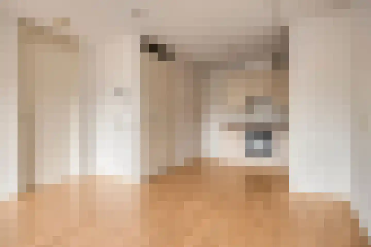 Edelinckstraat 36 Hardenberg thumbnail 17