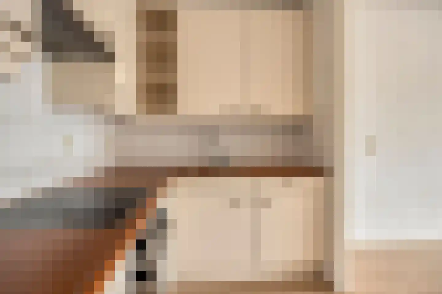 Edelinckstraat 36 Hardenberg thumbnail 19