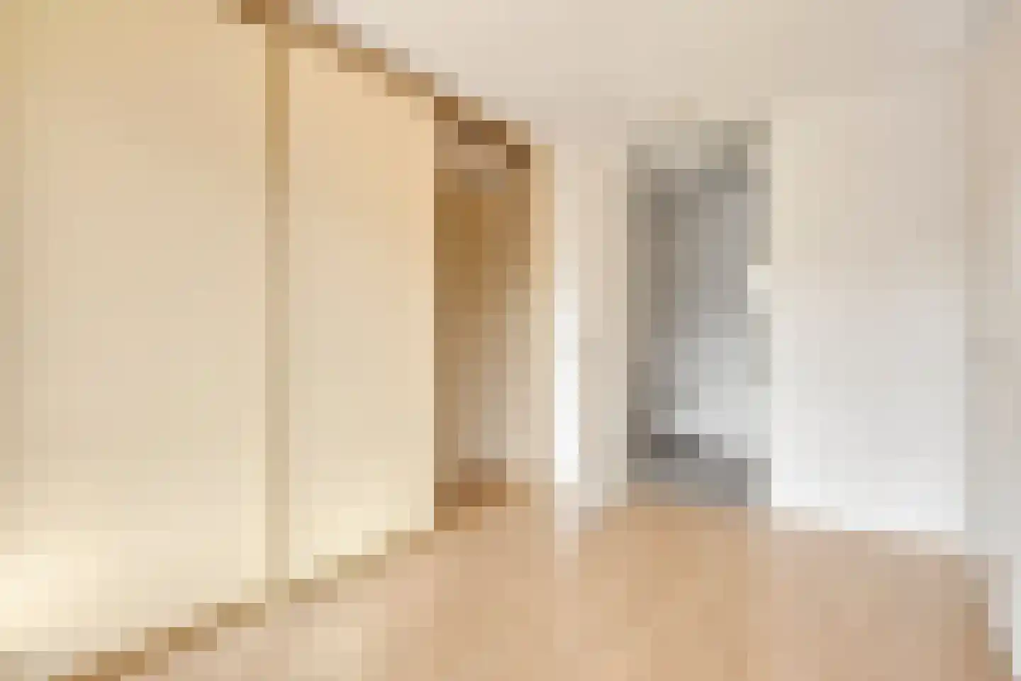 Edelinckstraat 36 Hardenberg thumbnail 23