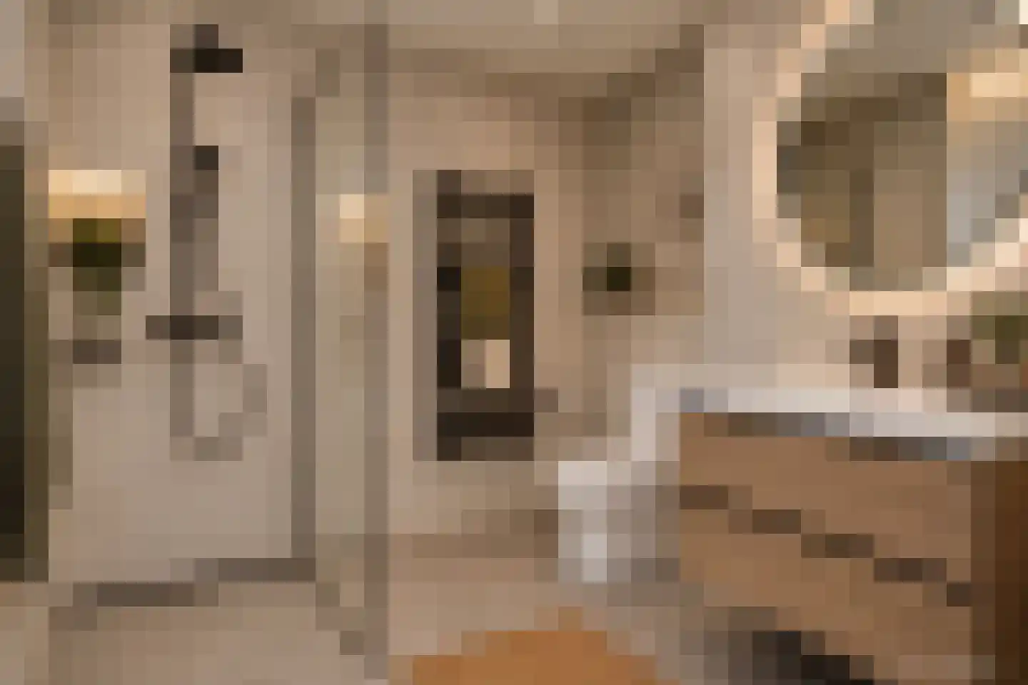 Edelinckstraat 36 Hardenberg thumbnail 7