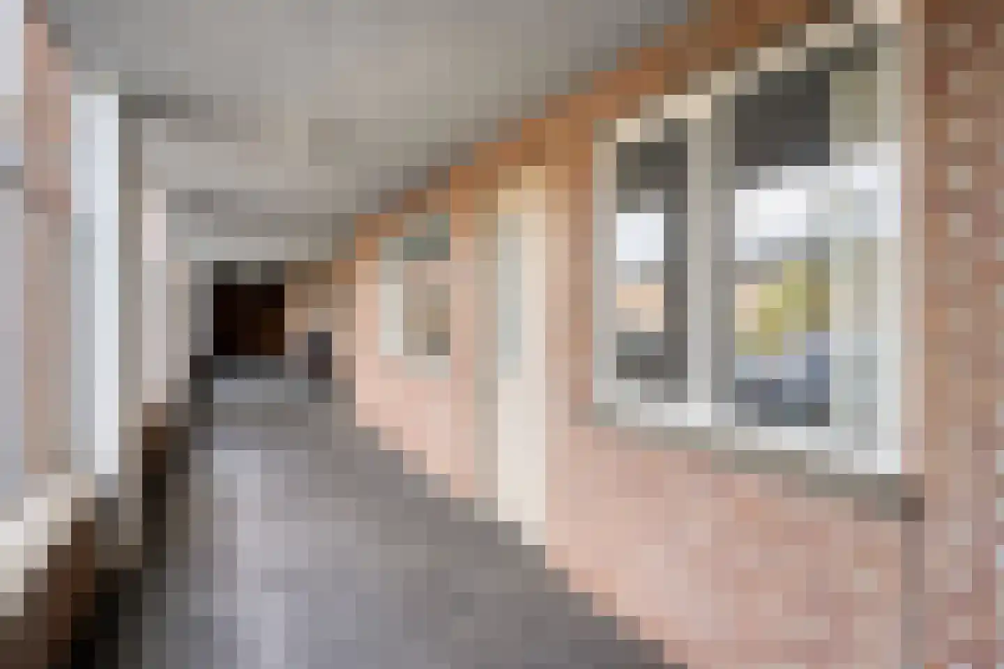Edelinckstraat 36 Hardenberg thumbnail 9