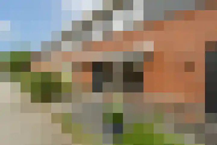 Edelman 7 Mijnsheerenland thumbnail 30