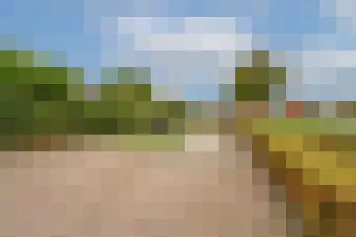 Edelman 7 Mijnsheerenland thumbnail 31