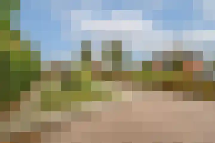 Edelman 7 Mijnsheerenland thumbnail 32