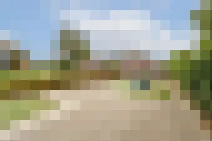 Edelman 7 Mijnsheerenland thumbnail 33