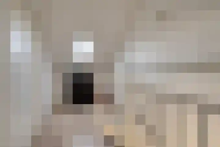 Edelmanlaan 9 Veenendaal thumbnail 20