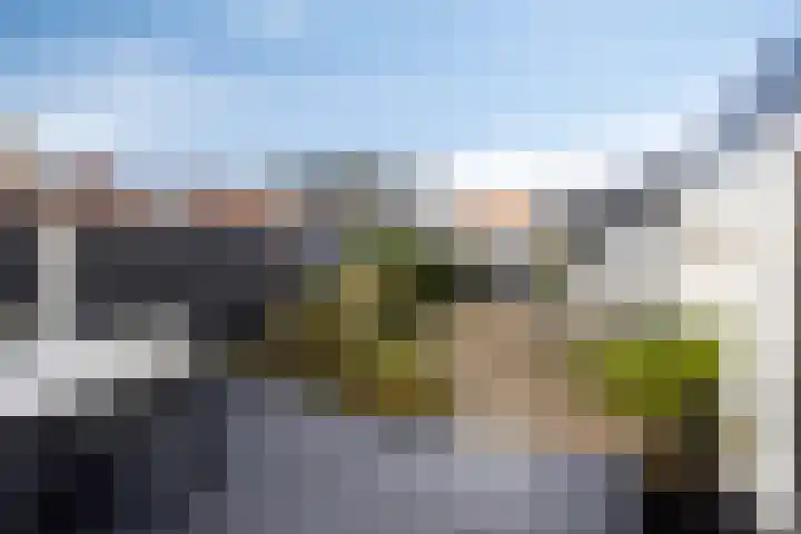 Edelmanlaan 9 Veenendaal thumbnail 24