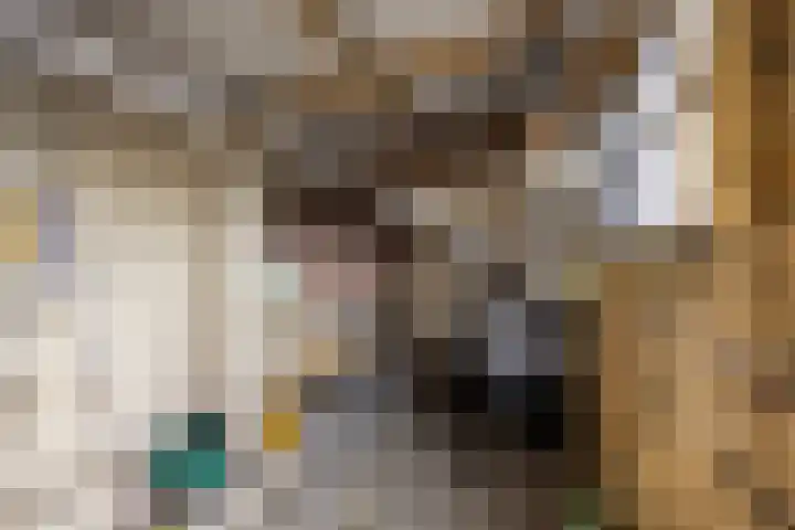 Edelmanlaan 9 Veenendaal thumbnail 28