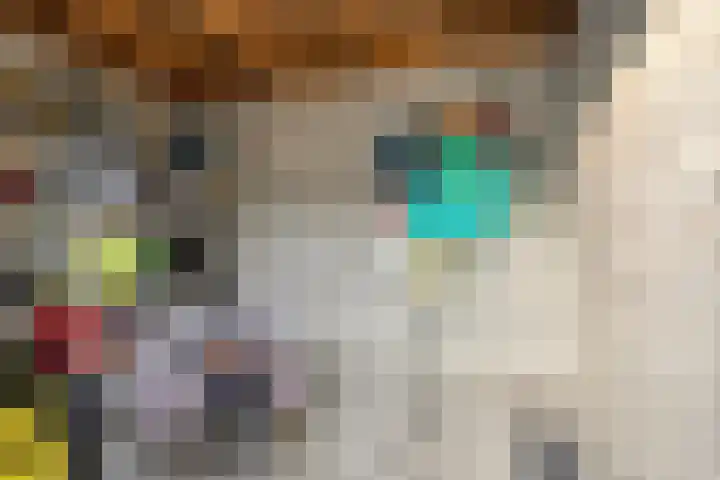 Edelmanlaan 9 Veenendaal thumbnail 29