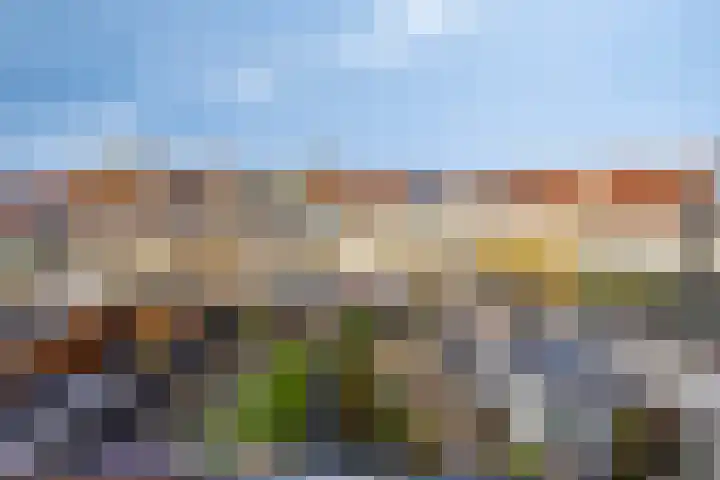 Edelmanlaan 9 Veenendaal thumbnail 30
