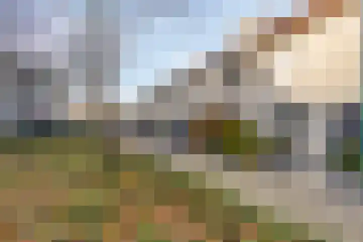 Edelmanlaan 9 Veenendaal thumbnail 32