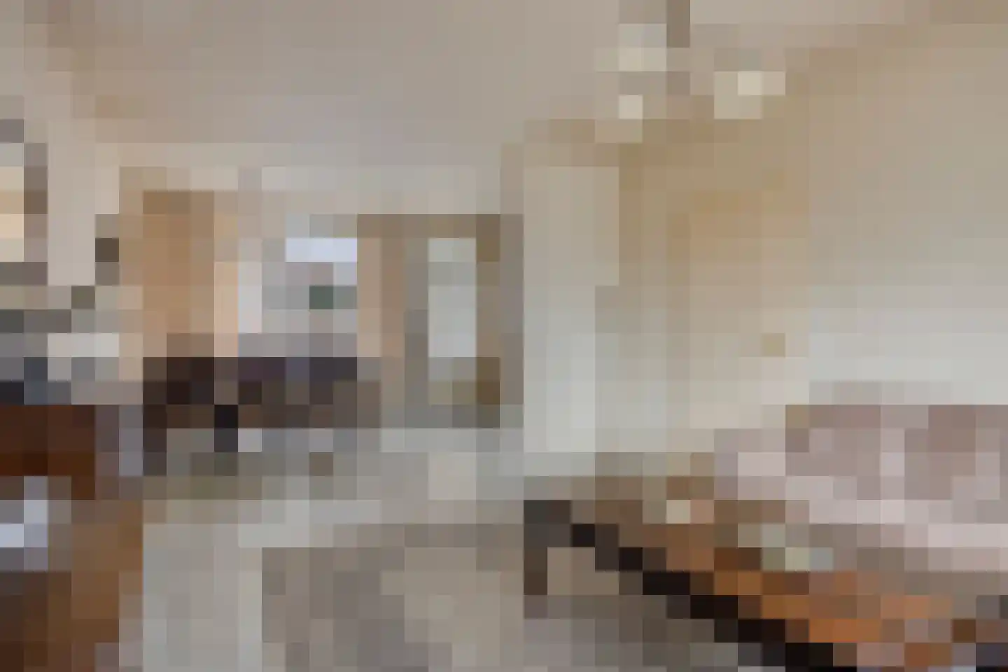 Edelmanstraat 12 Kerkdriel thumbnail 10