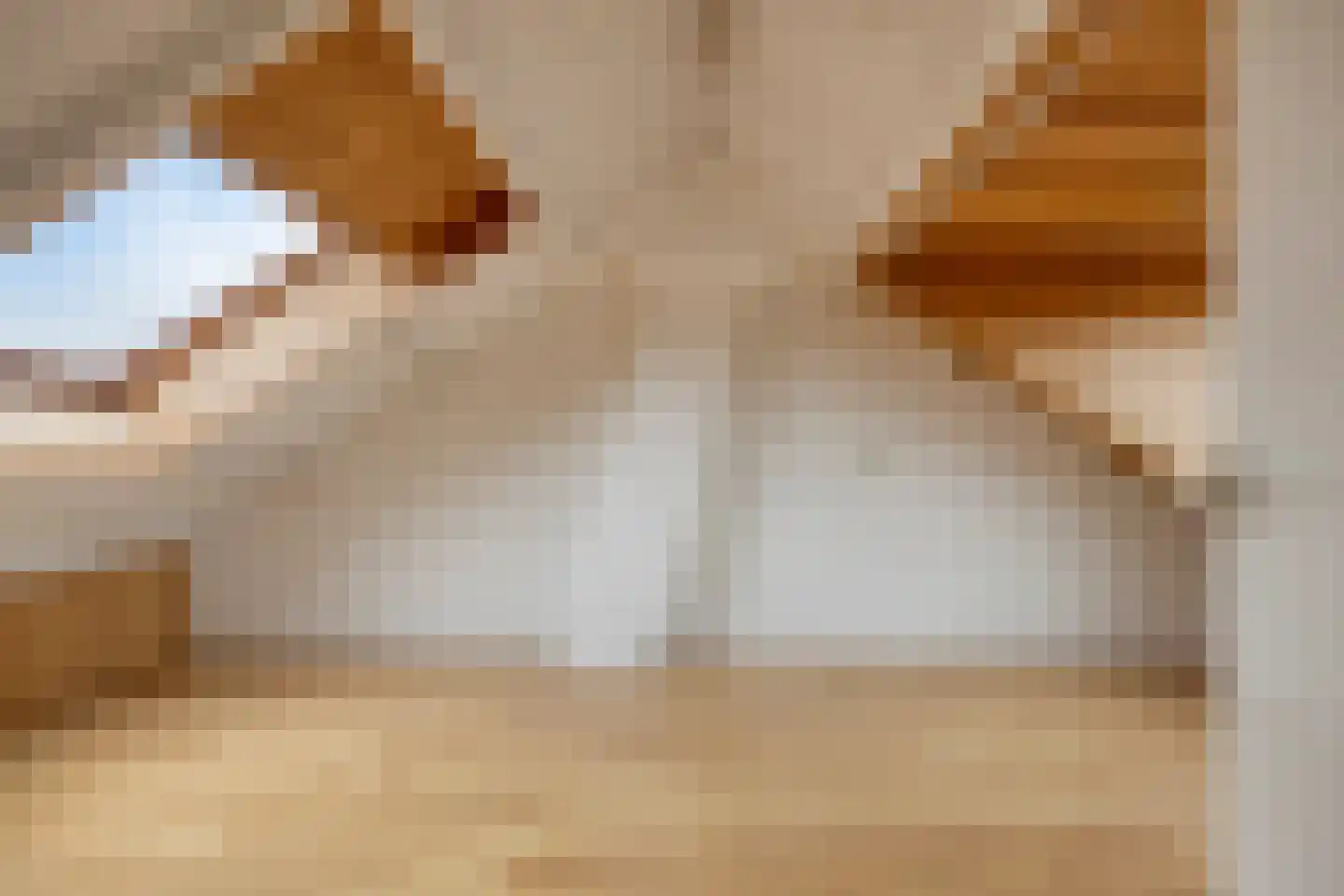Edelmanstraat 12 Kerkdriel thumbnail 27