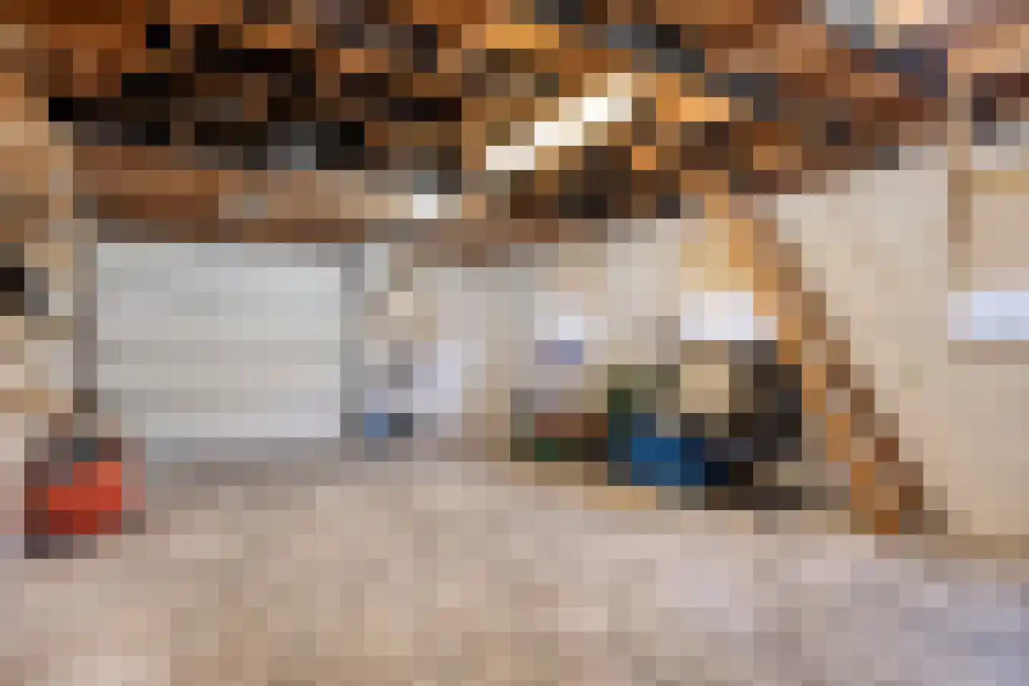 Edelmanstraat 12 Kerkdriel thumbnail 35