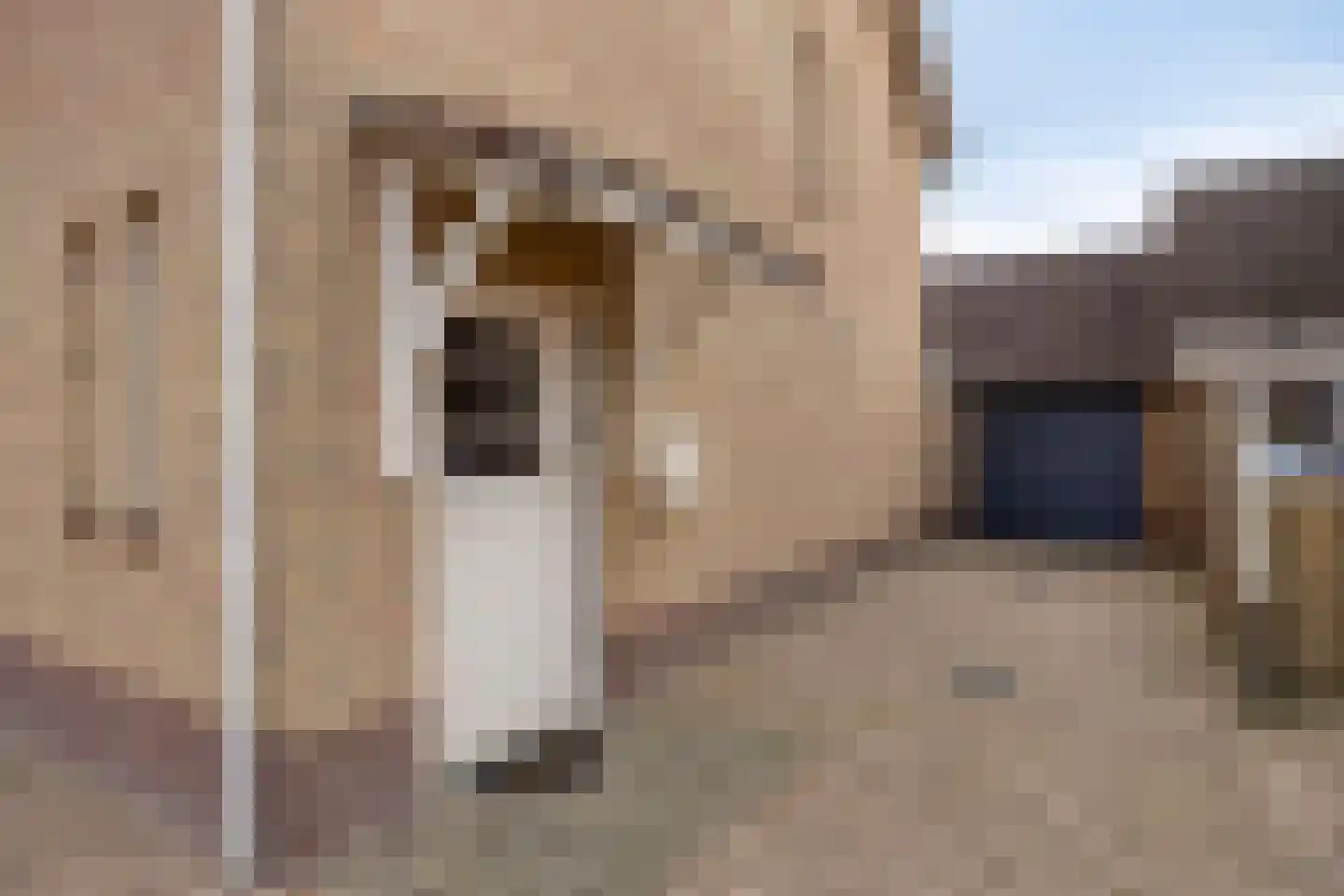 Edelmanstraat 12 Kerkdriel thumbnail 5