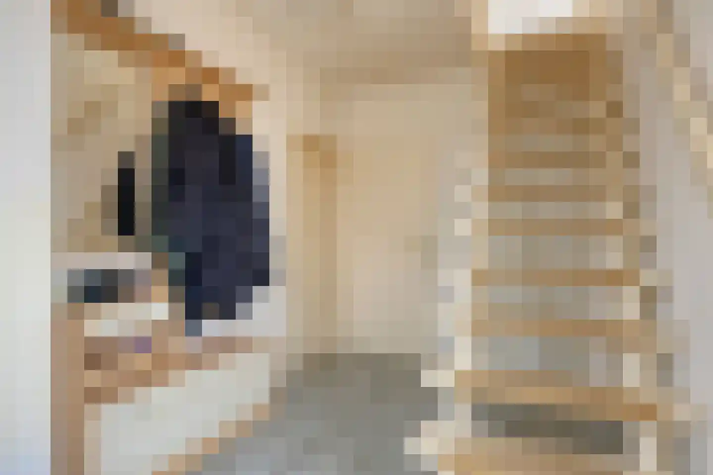 Edelmanstraat 12 Kerkdriel thumbnail 7